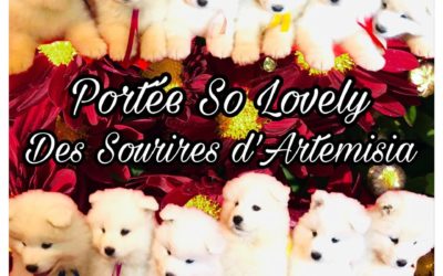 Portée So Lovely