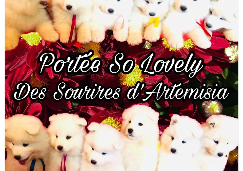 Portée So Lovely
